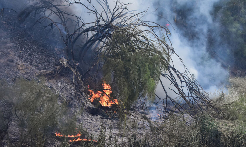 Υψηλός κίνδυνος πυρκαγιάς - Ο χάρτης με τις περιοχές