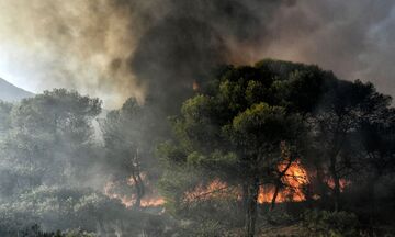 Έβρος: Απαγόρευση κυκλοφορίας σε δασικές περιοχές λόγω υψηλού κινδύνου πυρκαγιάς