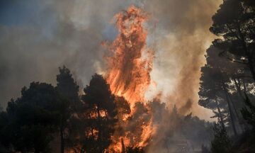 Φωτιά στη Νάξο: Οριοθετήθηκε η πυρκαγιά στην Κεραμωτή