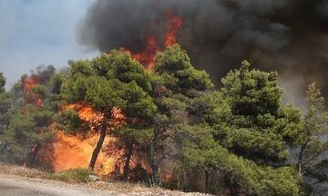 Πολύ υψηλός κίνδυνος πυρκαγιάς σε έξι περιφέρειες την Κυριακή (16/7)