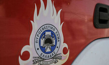 Πυρκαγιά στη Βοιωτία: Μήνυμα 112 για τη φωτιά στον δήμο Προδρόμου