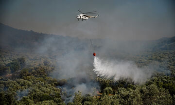 Λαμία: Ξέσπασε πυρκαγιά στον Προφήτη Ηλία