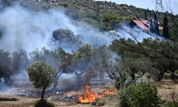 Φωτιά στον Νέο Κουβαρά - Εκκενώθηκε ο οικισμός Πέτα