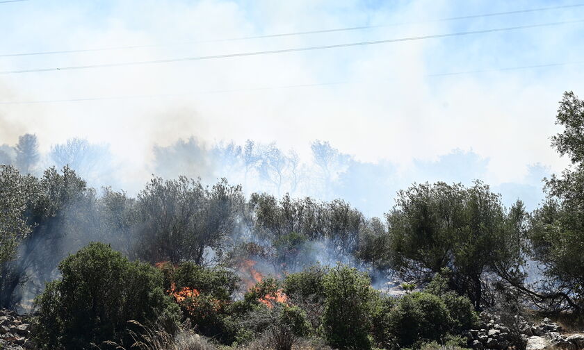 Ανεξέλεγκτη η φωτιά στο Νέο Κουβαρά: Πύρινο μέτωπο 2 χλμ. πλησιάζει τα πρώτα σπίτια