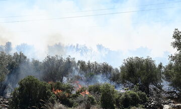 Ανεξέλεγκτη η φωτιά στο Νέο Κουβαρά: Πύρινο μέτωπο 2 χλμ. πλησιάζει τα πρώτα σπίτια
