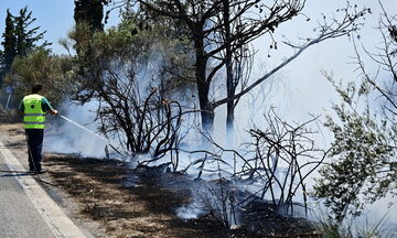 Φωτιά στον Κουβαρά: Αφέθηκε ελεύθερος ο ύποπτος αλλοδαπός 