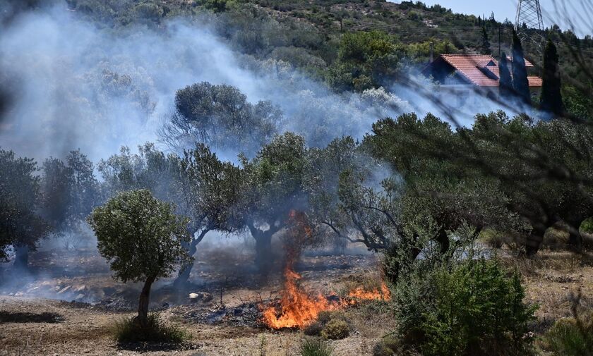 Φωτιά στα Δερβενοχώρια: Ανησυχία να μην φτάσει στην Πάρνηθα