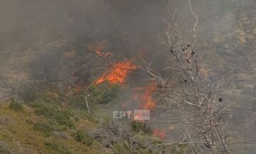 Μαίνεται η φωτιά στην Οινόη, 112 για την πυρκαγιά στα Δερβενοχώρια – Εναέρια μέσα στο Λουτράκι