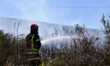 Στις φλόγες και η Κρήτη - Φωτιές σε Βαγιωνιά και Ρούσσα Εκκλησιά Σητείας