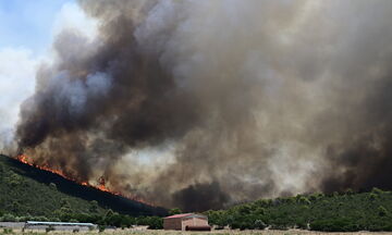 Πυρκαγιές: Εκτός ελέγχου η πυρκαγιά στη Μάνδρα