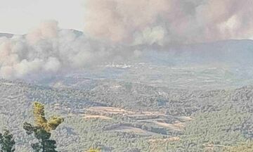 Ρόδος: Φωτιά σε δασική έκταση στην περιοχή των Λαέρμων