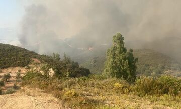 Σπάρτη: Δραματικές διαστάσεις παίρνει η φωτιά στο Πυργί (pics)