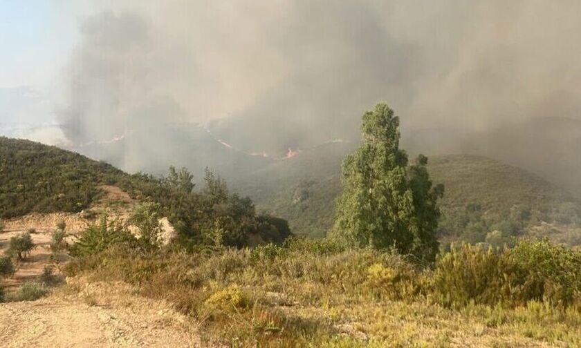 Μεσσηνία: Σύλληψη 30χρονου για εμπρησμούς σε δασικές εκτάσεις