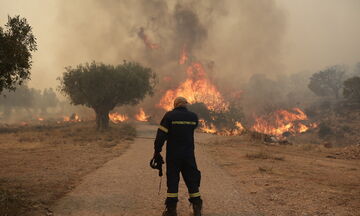 Τεράστια καταστροφή από τις φωτιές στην Ελλάδα - Στάχτη 164.000 στρέμματα