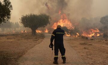 Φωτιά στη Λακωνία: Μεγάλη αναζωπύρωση - Μάχη με τέσσερα μέτωπα πυρκαγιάς