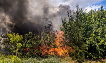 Θεσσαλονίκη: Πυρκαγιά στην περιοχή της Βόλβης