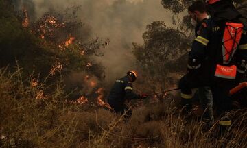 Πυροσβεστική: Αναζωπύρωση σε Λακωνία και Ρόδο - Η ενημέρωση από τα υπόλοιπα μέτωπα
