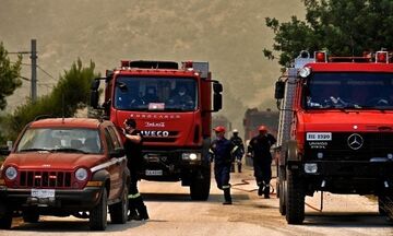 Φωτιά στη Ρόδο: Τα μέσα που επιχειρούν στο πύρινο μέτωπο