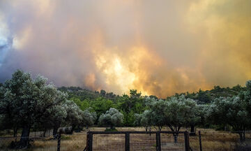 Φωτιά στη Ρόδο: Μάχη για να σωθεί ο οικισμός Ασκληπιείο - Ακυρώνονται πτήσεις (vid)