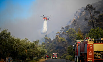 Φωτιά στην Κάρυστο: Έκκληση δημάρχου για εναέρια μέσα