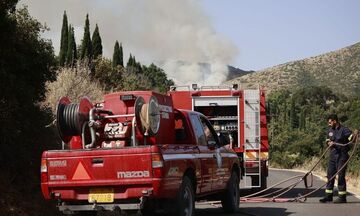 Φωτιά στη Θήβα - Συναγερμός στην Πυροσβεστική