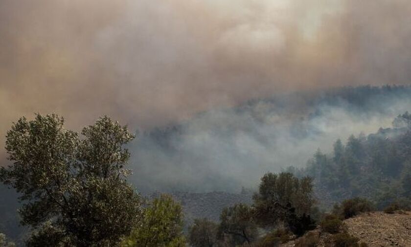 Φωτιά στην Κάρυστο: Ο κτηνοτρόφος κάηκε στην προσπάθεια να σώσει τα ζώα του