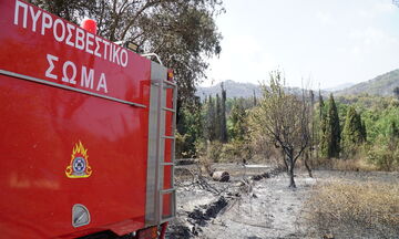 Φωτιά και στη Λαμία: Εκκενώθηκε οικισμός, ισχυρές δυνάμεις στο σημείο