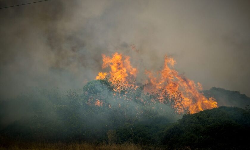 Πυροσβεστική: «Η πιο δύσκολη μέρα του καλοκαιριού - 90 φωτιές σε όλη τη χώρα»