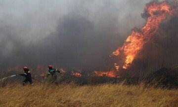 Μαγνησία: Νεκρή γυναίκα από πυρκαγιά στο Χοροστάσι