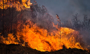 Κηφισιά: Φωτιά σε δασική έκταση - Μεγάλη κινητοποίηση από την πυροσβεστική 