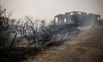 Λαμία: Έσβησαν οι φωτιές - Προβλήματα με τις καταστροφές στο δίκτυο της ΔΕΗ