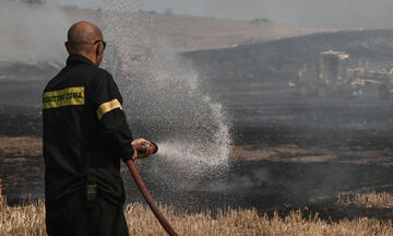 Φωτιά στη Χαλκιδική - Ισχυρές δυνάμεις της πυροσβεστικής στο σημείο