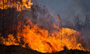 Φωτιά στη Μαγνησία: Εκκένωση της περιοχής Καστράκι προς Μικροθήβες