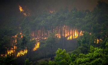 Φωτιές: Πολύ υψηλός κίνδυνος πυρκαγιάς και σήμερα για 6 περιφέρειες - Χάρτης