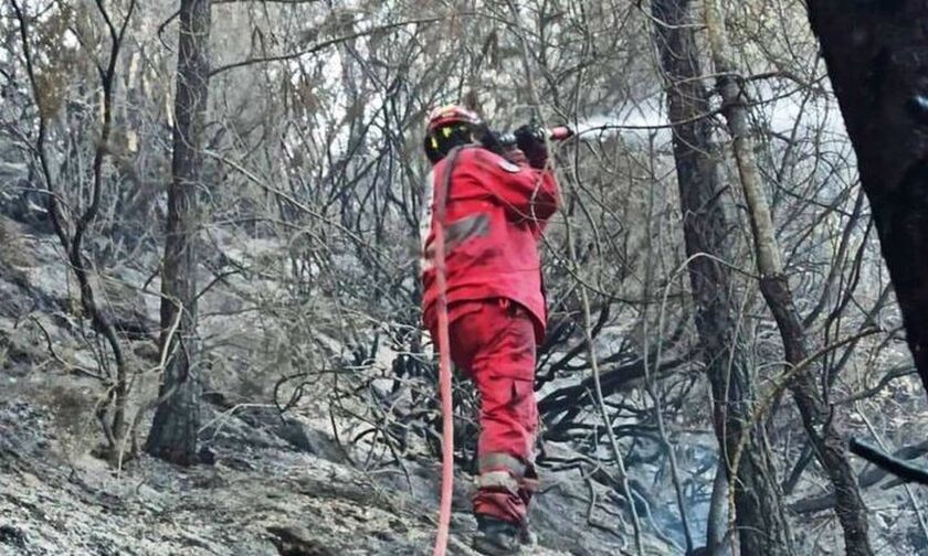 Μεσσηνία: Μεγάλη κινητοποίηση για πυρκαγιά στο Γλυκορρίζι