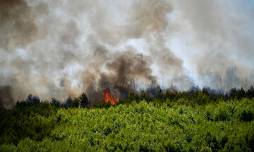 Μεγάλη φωτιά στην Ηλεία - Μήνυμα από το 112 για εκκένωση οικισμών