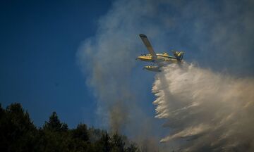 Πυρκαγιά στην Ηλεία: Νέο μέτωπο στον Πλάτανο Αρχαίας Ολυμπίας