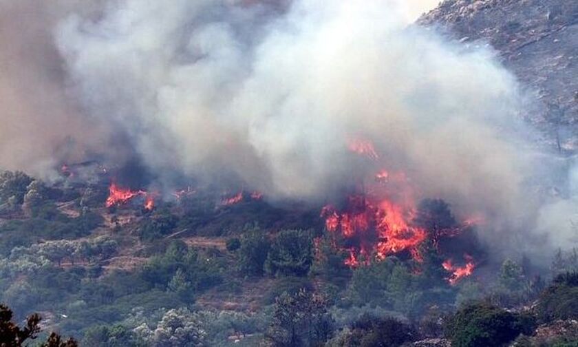 Η φωτιά στη Χίο ξεκίνησε από τροχαίο - Συνελήφθη ο μεθυσμένος οδηγός