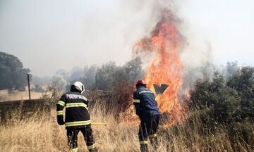 Χανιά: Σύλληψη 80χρονου για φωτιά σε φαράγγι