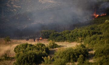 Φωτιά στον Όλυμπο - Καίει σε δύσβατη περιοχή