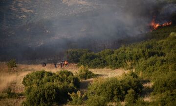 Φωτιά στον Όλυμπο - Καίει σε δύσβατη περιοχή