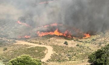 Φωτιά στην Κάρυστο: Ενισχύονται οι δυνάμεις της Πυροσβεστικής - Σε δύσβατο σημείο η πυρκαγιά