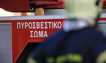 Φωτιά στα Μέγαρα - Επί τόπου δυνάμεις της Πυροσβεστικής