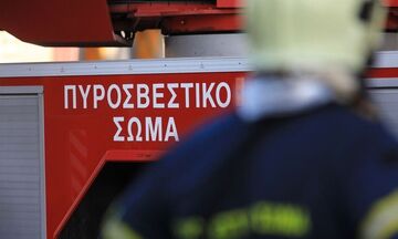 Φωτιά στα Μέγαρα - Επί τόπου δυνάμεις της Πυροσβεστικής