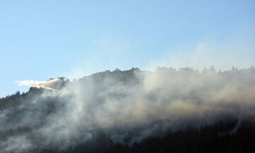 Φωτιά στον Ασπρόπυργο - Επιχειρούν επίγειες και εναέριες δυνάμεις