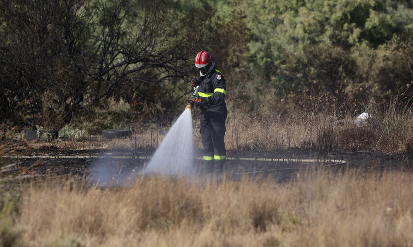 Φωτιά στην Αλεξανδρούπολη: Συνεχίζονται οι «μάχες» των πυροσβεστικών δυνάμεων (vid)