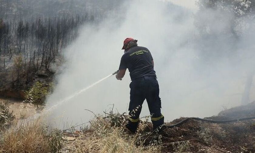 Φωτιά στη Βοιωτία: Κτηνοτρόφος εντοπίστηκε νεκρός σε στάνη