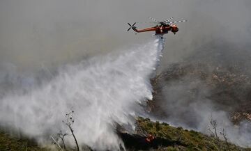 Φωτιά στη Βοιωτία: Εκκενώνονται οικισμοί - Νέα πυρκαγιά στο Δίστομο