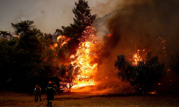 Πυρκαγιές: Ασύλληπτη η καταστροφή
