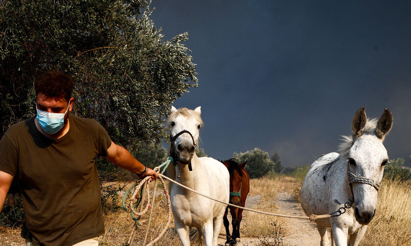 Δέκα φορές πάνω από τα όρια συναγερμού τα μικροσωματίδια